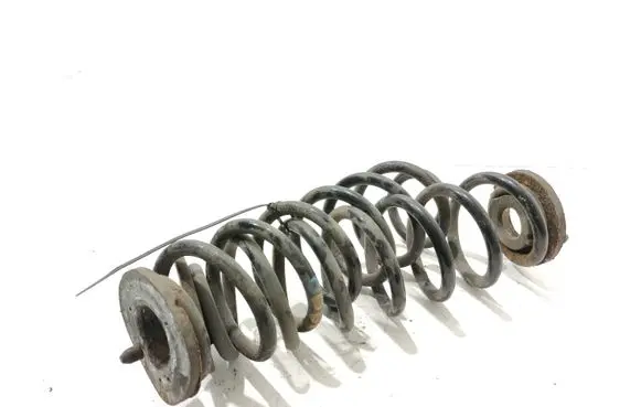 Volkswagen Golf V Rear coil spring