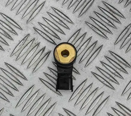 Porsche 997 Detonation knock sensor 0261231173