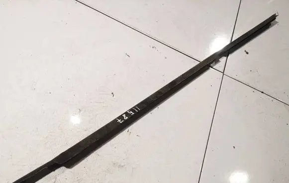 Renault Scenic I Front door glass trim molding