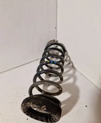 Rear coil spring