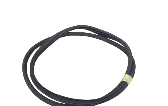 BYD Dolphin Front door rubber seal PUD4037