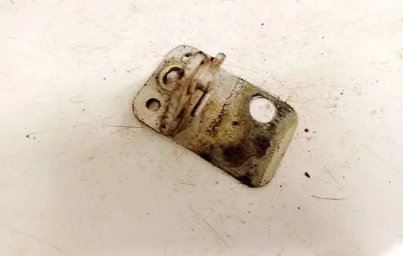 Volkswagen PASSAT B5 Rear door lower hinge