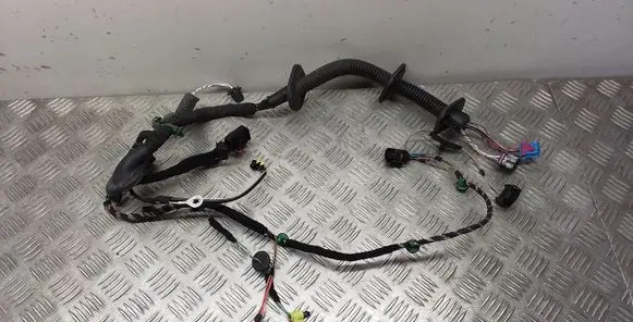 Front door wiring loom