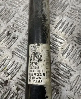 Opel Astra J Rear shock absorber/damper 13279264