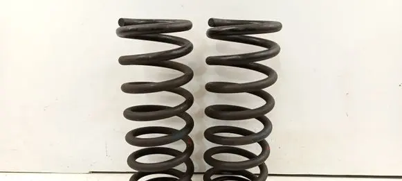 Mercedes-Benz S W126 Rear coil spring 1233240604