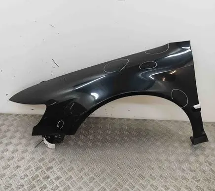 Volkswagen Phaeton Fender 3D0821021J