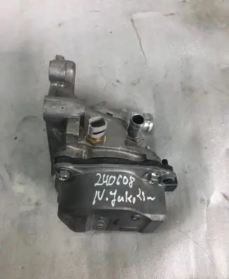Nissan Juke II F16 Water pump 110613903r
