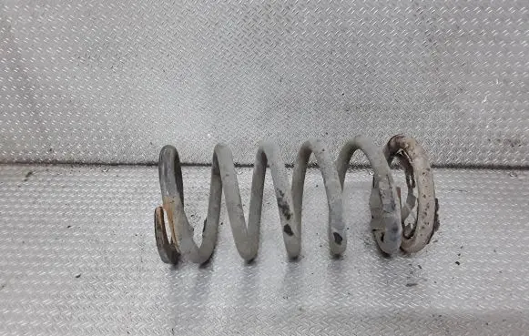 Hyundai Santa Fe Rear coil spring