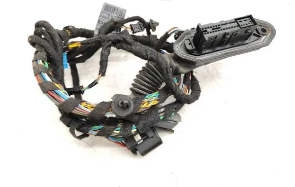 BMW X3 E83 Rear door wiring loom 341314304