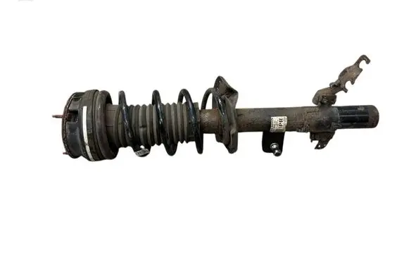Land Rover Evoque I Rear shock absorber with coil spring BJ3218080AE 265132348