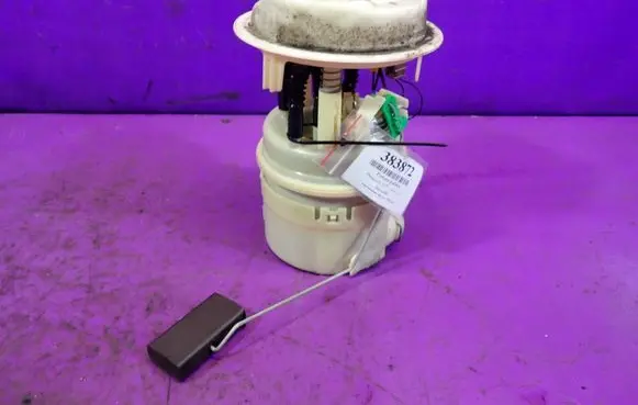 Peugeot 307 CC In-tank fuel pump