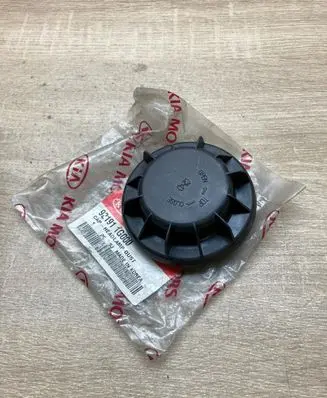 Headlight/headlamp dust cover