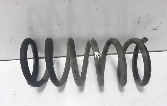 Opel Antara Rear coil spring
