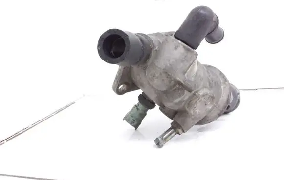 Thermostat/thermostat housing