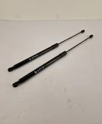 Opel Insignia B Tailgate/trunk strut/damper 39169064
