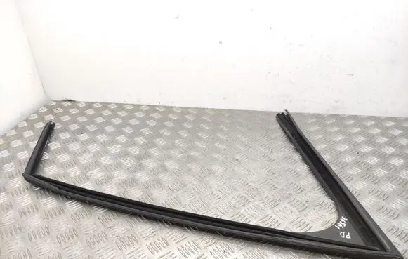 Peugeot 3008 I Rubber seal front door (on door) 