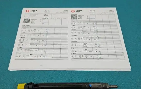 Citroen DS4 Fuel injector EMBR00101D IMPRK1591315