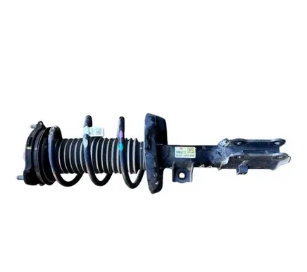Hyundai Ioniq Front shock absorber with coil spring 54661G2500