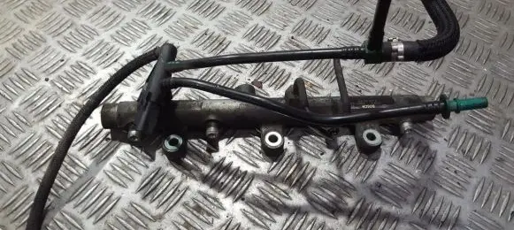 Peugeot 406 Fuel main line pipe 0445214019 020653L3