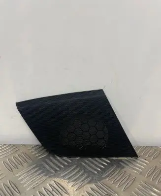 Side speaker trim/cover