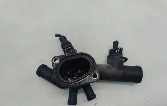 Thermostat/thermostat housing