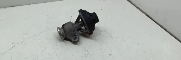 Volkswagen Caddy EGR valve 038131501Bc