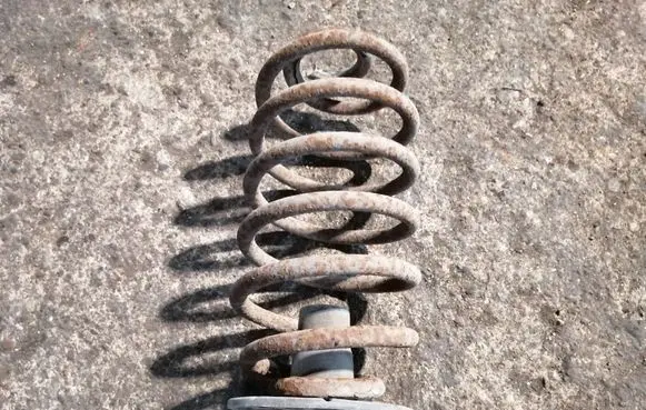 Rear coil spring