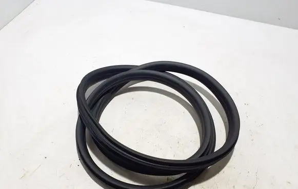 Dacia Duster Front door rubber seal 769229398R