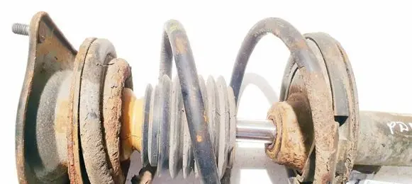 Front coil spring