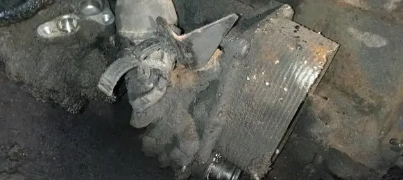 Renault Laguna III Oil filter cover 