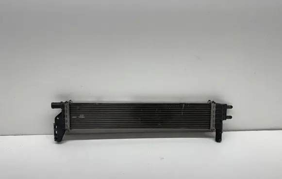 Dacia Duster II Coolant radiator 214108831R