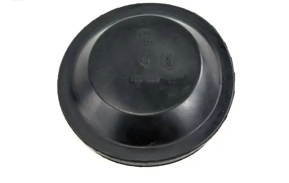Skoda Superb B6 (3T) Headlight/headlamp dust cover 155665