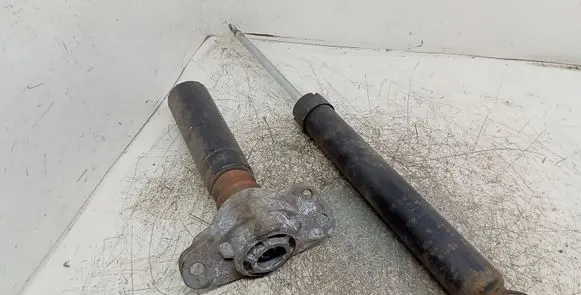 Seat Leon (1P) Rear shock absorber/damper 1K0513029HA