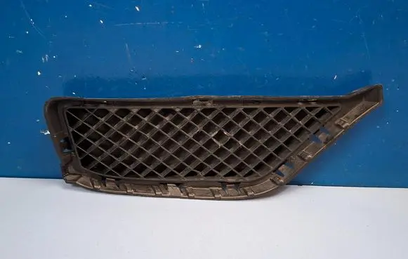 BMW X1 E84 Front bumper lower grill 51117303754