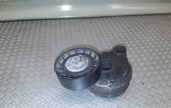 Volvo V70 Generator/alternator belt tensioner TF155B