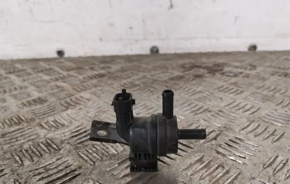 Hyundai Santa Fe Vacuum valve 289103C200