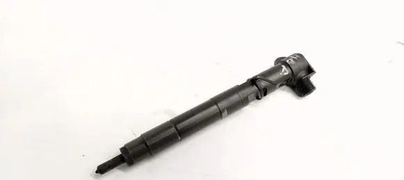 Mercedes-Benz E C207 W207 Fuel injector A6510702887
