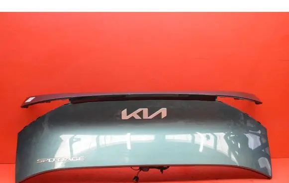 KIA Sportage Number plate light 87310R2010USG