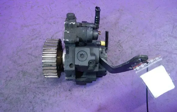 Citroen Xsara Picasso Fuel injection high pressure pump 9651844380