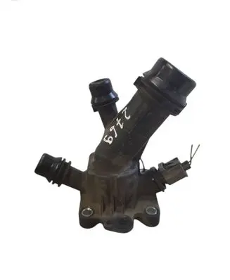 Thermostat/thermostat housing