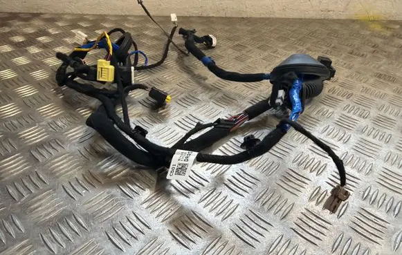 KIA EV6 Front door wiring loom 01043