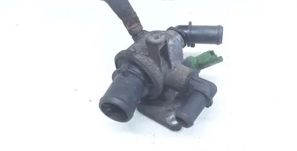 Thermostat/thermostat housing