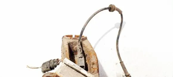 Jaguar X-Type Other wiring loom 1X432C054GAA