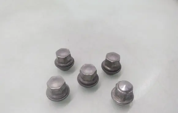 Ford Focus Nuts/bolts 