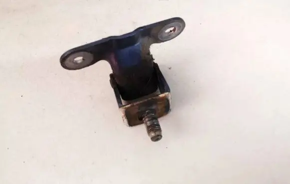 Tailgate/trunk/boot hinge