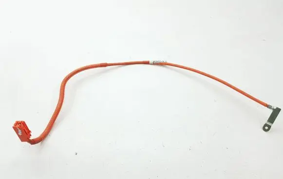 Lexus CT 200H Other wiring loom G92T0470202