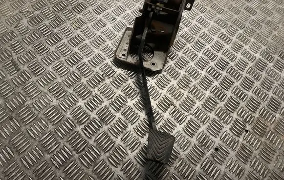 Hyundai Terracan Brake pedal 