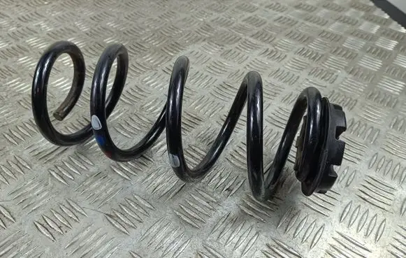 Renault Arkana Rear coil spring