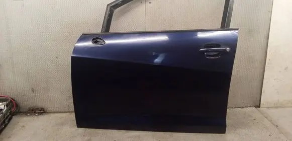 Seat Ibiza IV (6J,6P) Front door 