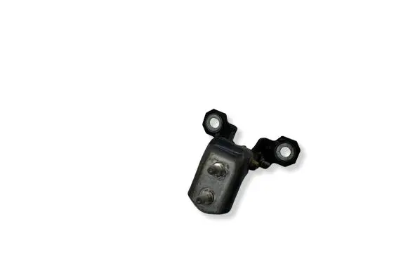 Renault Espace - Grand espace IV Rear door lower hinge